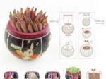 Puzzle 3D - Flower Pot - Cat's Play Time