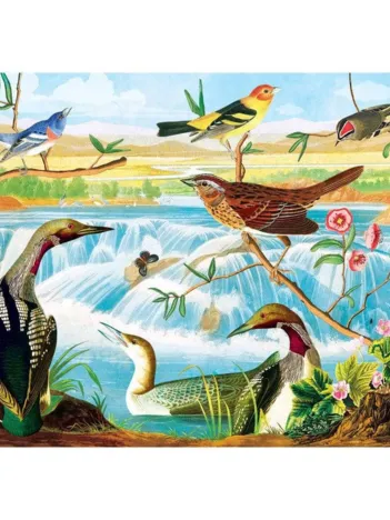 Produit Audubon - Harmonie Des Oiseaux Et Des Ruisseaux Image
