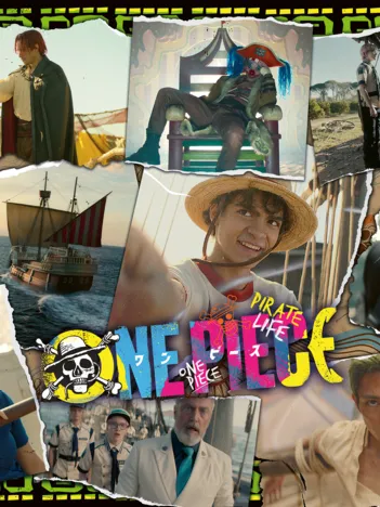 Produit A la Recherche de One Piece Image