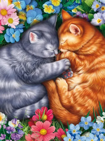 Produit Sommeil aux Pattes de Velours Image