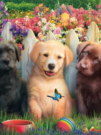 Produit Adorable Scène de Chiots Image