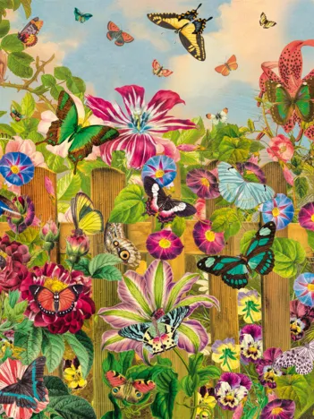 Produit Magnifique Jardin de Papillons Image