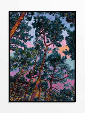 Produit Sound of Silence Image