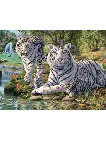 Produit Tigres Blancs Image