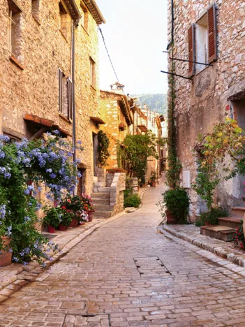 Produit France Méditerranéenne Image