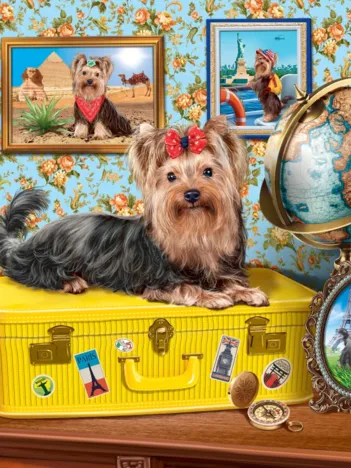 Produit Yorkshire Terrier Image