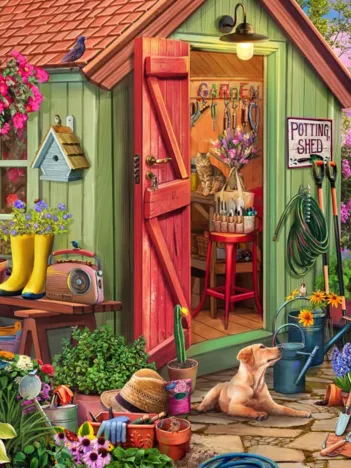 Produit Abri de Jardin Image