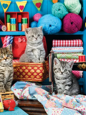 Produit Des Chatons dans la Salle de Couture Image