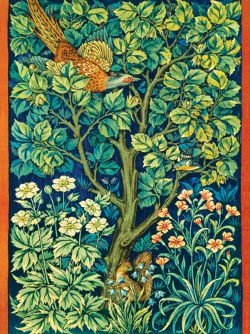 Produit Faisan Coq Image