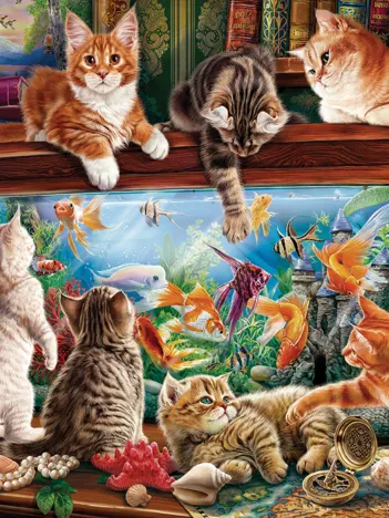 Produit Chats Près de L'Aquarium Image
