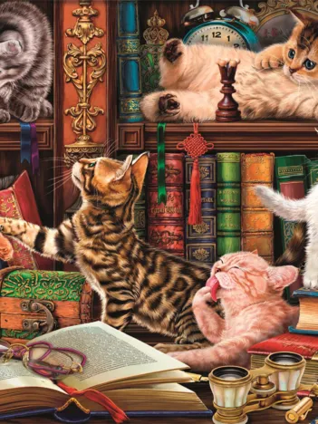 Produit Moustaches Curieuses Image