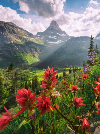 Produit Montagnes Vierges Image