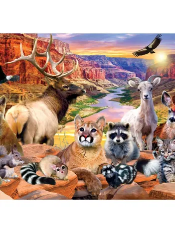 Produit National Parks - Grand Canyon Image