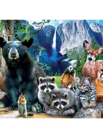 Produit National Parks - Yosemite Image