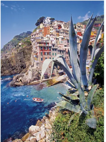 Produit Riomaggiore, Italie Image
