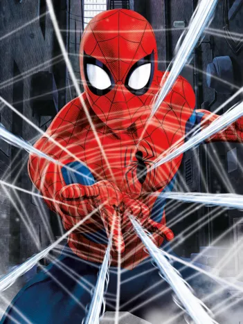 Produit Spider-Man Image