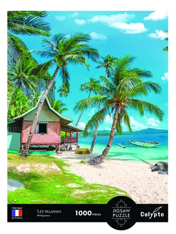 Produit Paysage - Plage Tropicale Palawan - Philippines Image