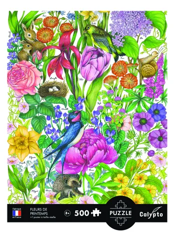 Produit Les Fleurs De Printemps Image