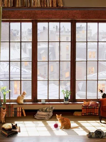 Produit Window Cats Image