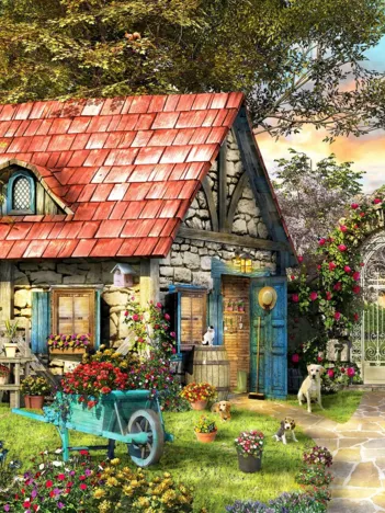 Produit Country Shed Image