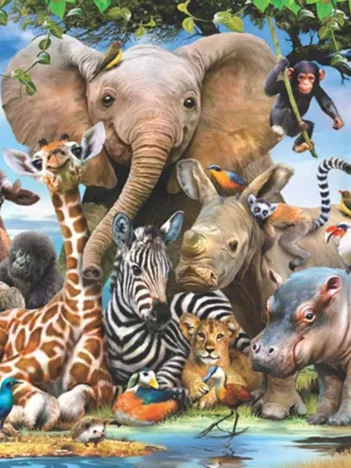 Produit Africa Smile Image