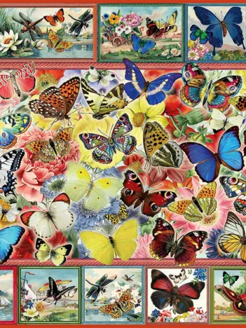 Produit Lots Of Butterflies Image