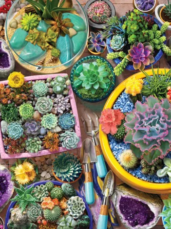 Produit Cacti Pots Image