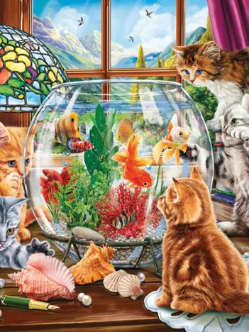 Produit Kittens And Aquarium Image