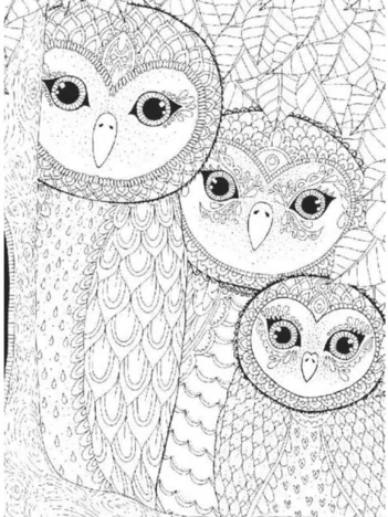 Produit Famille de Chouettes Image