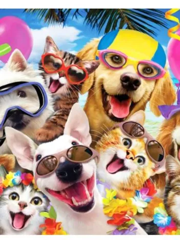 Produit Beach Party Selfie Image