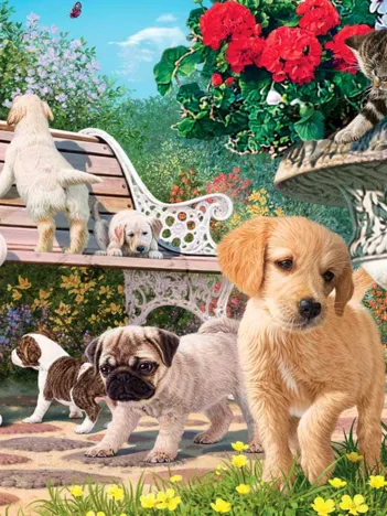 Produit Pets Hide and Seek Image