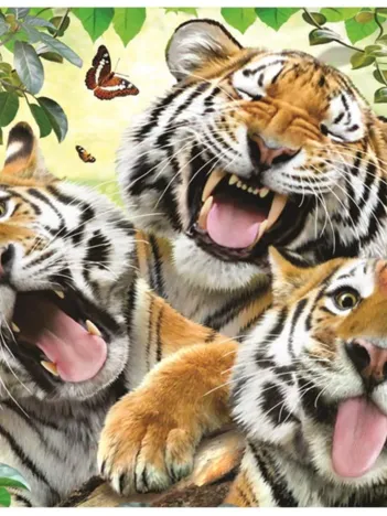 Produit Tiger Selfie Image
