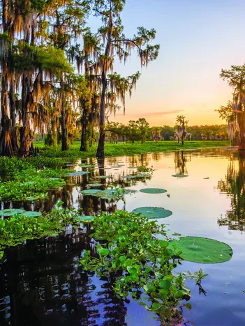 Produit Sunrise Over Duck Lake Image