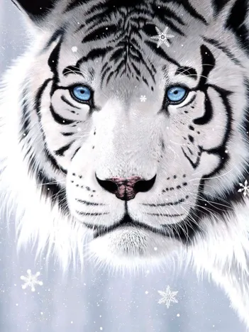 Produit Crystal Eyes Image