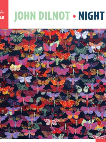 Produit John Dilnot - Night Flight Image