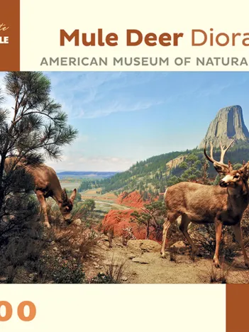 Produit Mule Deer Diorama - American Museum of Natural History Image