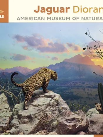 Produit Jaguar Diorama - October at Sunset, Sonora, Mexico Image