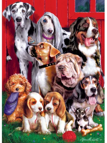 Produit Sitting Pretty Image