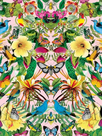 Produit Bluebirds Image