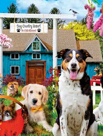 Produit Retraite Campagnarde pour Chiens Image