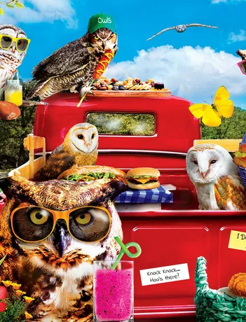 Produit Tailgate at the Park Image