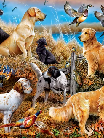 Produit Mossy Oak - Les Meilleurs Amis De L'Homme Image