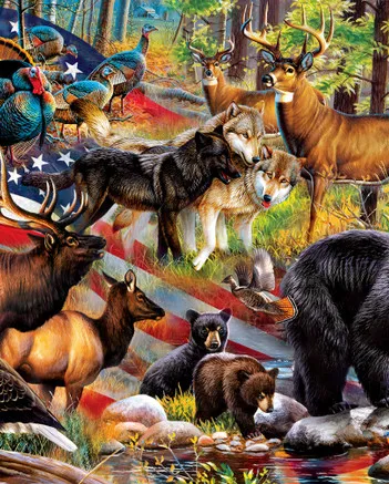 Produit Cette Terre est la Tienne Image