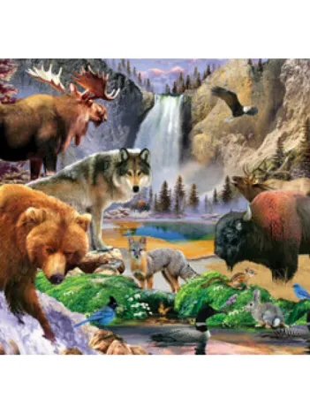 Produit National Parks - Yellowstone Image