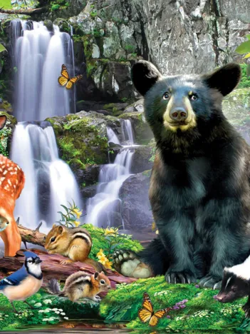 Produit National Parks - Shenandoah Image