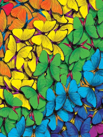 Produit Fluttering Rainbow Image