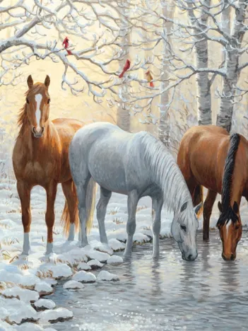 Produit Winter Trio Image