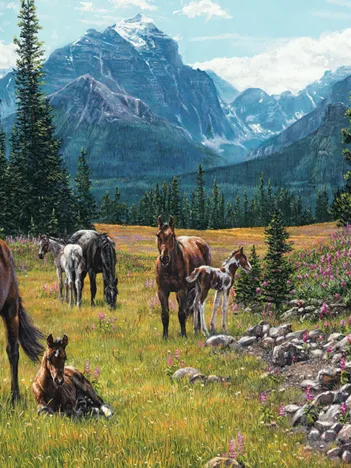 Produit Horse Meadow Image