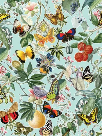 Produit Fruit and Flutterbies Image