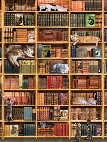 Produit The Cat Library Image